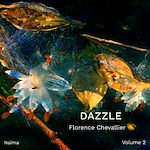 Télécharger le livre :  Dazzle, volume 2