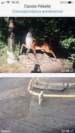 Télécharger le livre :  Correspondance arménienne