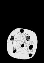 Télécharger le livre :  Against Relationalism and the Tyranny of Context