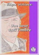 Télécharger le livre :  Une lueur dans l'ombre