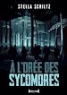 Télécharger le livre :  À l'orée des sycomores