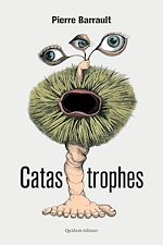 Télécharger le livre :  Catastrophes