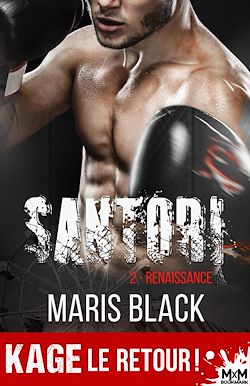 Télécharger le livre :  Renaissance