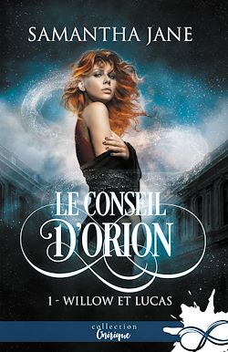 Télécharger le livre :  Willow et Lucas