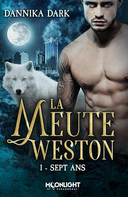 Télécharger le livre :  Sept ans