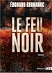 Télécharger le livre :  Le Feu noir