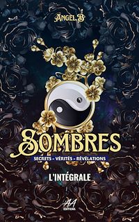 Télécharger le livre : Sombres
