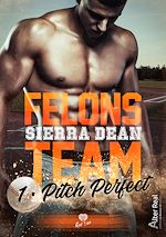 Télécharger le livre :  Pitch Perfect