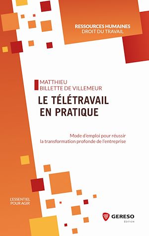 LE TELETRAVAIL EN PRATIQUE - MODE D'EMPLOI POUR REUSSIR LA TRANSFORMATION PROFONDE DE L'ENTREPRISE