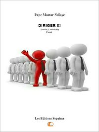 Télécharger le livre :  Diriger !!!