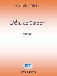 Télécharger le livre :  L'Élu de Ciñoor