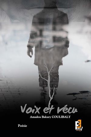 Téléchargez le livre :  Voix et vécu