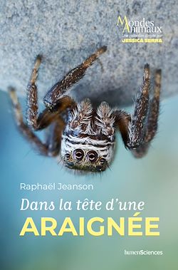 Télécharger le livre :  Dans la tête d'une araignée