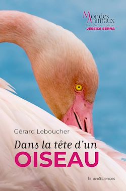 Télécharger le livre :  Dans la tête d'un oiseau