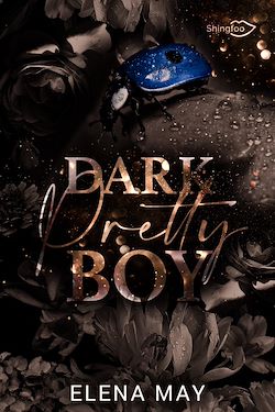 Télécharger le livre :  Dark Pretty Boy
