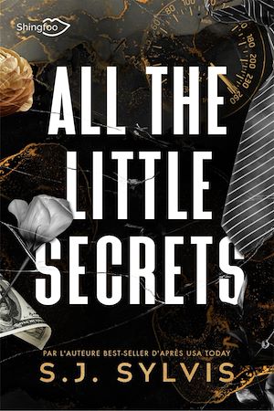 Téléchargez le livre :  All The Little Secrets