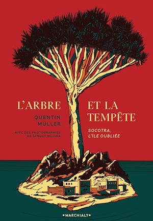 Téléchargez le livre :  L'Arbre et la Tempête