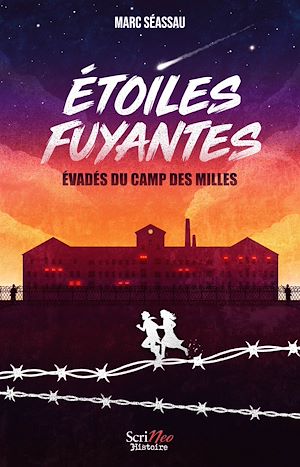 Téléchargez le livre :  Etoiles Fuyantes