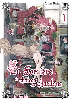 Télécharger le livre :  La sorciere du chateau aux chardons - Tome 1