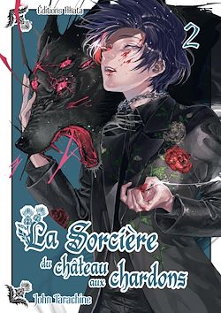 Télécharger le livre :  La sorcière du château aux chardons - Tome 2