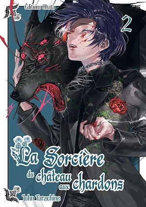 Téléchargez le livre :  La sorcière du château aux chardons - Tome 2