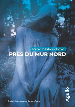 Téléchargez le livre :  Près du mur nord