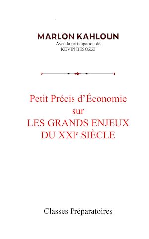 Téléchargez le livre :  Petit précis d'économie sur les grands enjeux du XXIe siècle