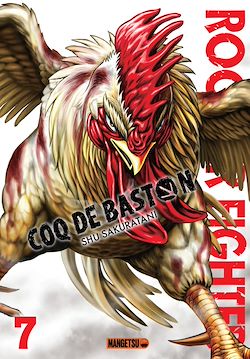 Télécharger le livre :  Rooster Fighter - Coq de Baston T07