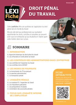 Télécharger le livre :  Droit pénal du travail