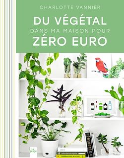 Télécharger le livre :  Du végétal dans ma maison pour zéro euro