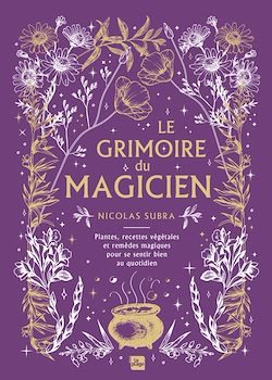 Télécharger le livre :  Le grimoire du magicien