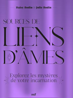 Télécharger le livre :  Sources de liens d'âmes : Explorez les mystères de votre incarnation