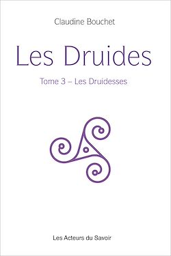 Télécharger le livre :  Les Druides - Tome 3