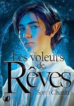 Télécharger le livre :  Les voleurs de rêves