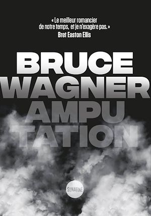 Téléchargez le livre :  Amputation