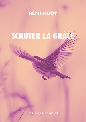 Téléchargez le livre :  Scruter la grâce