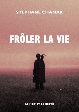 Téléchargez le livre :  Frôler la vie