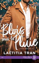 Download this eBook Blois sous la pluie