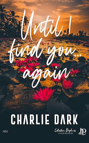 Téléchargez le livre :  Until I find you...again