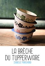 Télécharger le livre :  La brèche du Tupperware