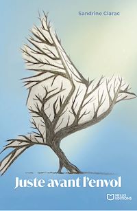 Téléchargez le livre :  Juste avant l'envol