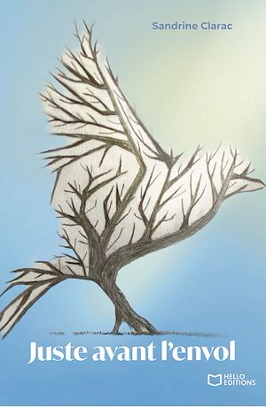 Téléchargez le livre :  Juste avant l'envol