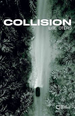 Télécharger le livre :  Collision