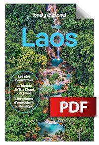 Télécharger le livre : Laos 11ed