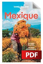 Télécharger le livre :  Mexique 15ed