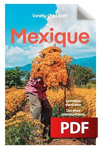 Télécharger le livre : Mexique 15ed