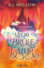 Télécharger le livre :  Le Chemin des cieux T1