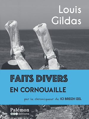 Faits divers en Cornouaille