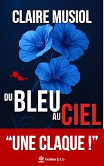 Télécharger le livre :  Du bleu au ciel