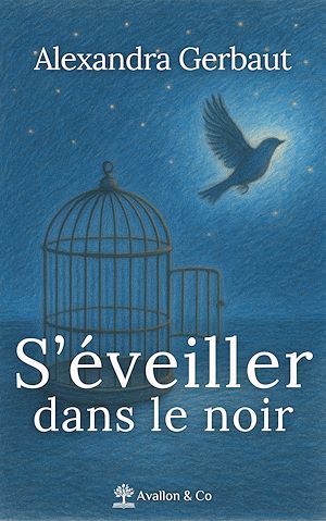 Téléchargez le livre :  S'éveiller dans le noir